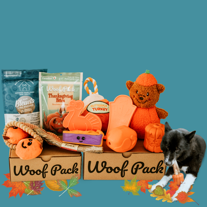 Dogsgiving Themed Box (2 toys, 2 treats, 1 chew)