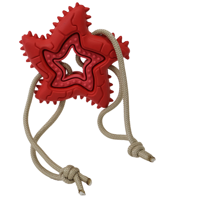 Woof Plays - Starfish w/ String