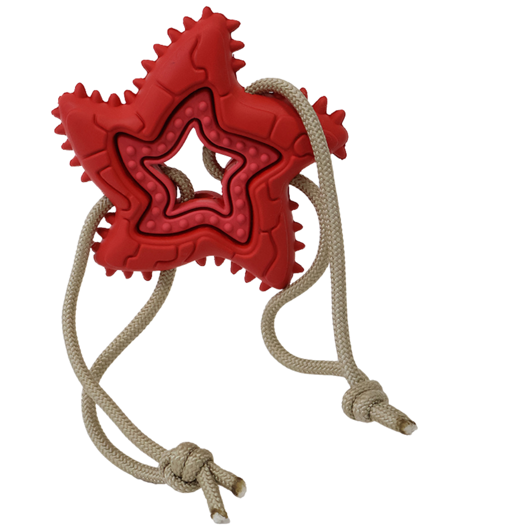 Woof Plays - Starfish w/ String