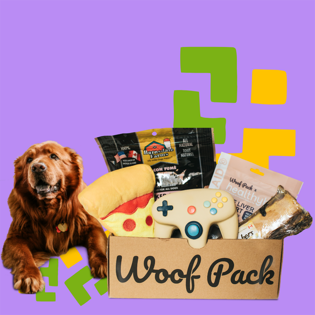 Woof Pack - Arcade Night