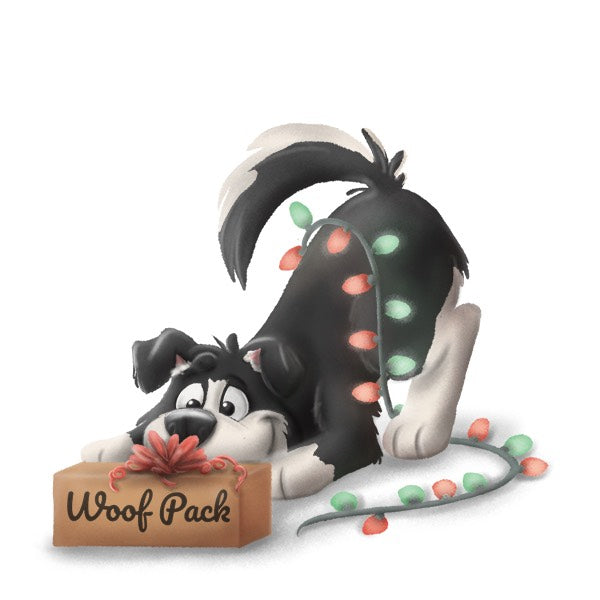 Cadeau des fêtes